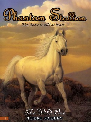 The Wild One - ebook